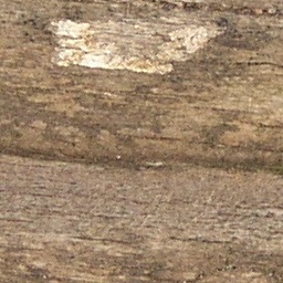 Wood