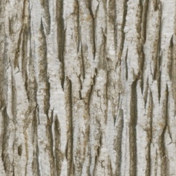 Bark